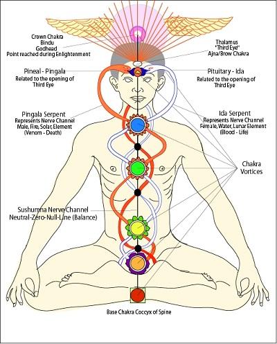 Chakras 1232